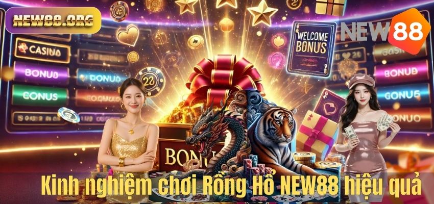 Kinh nghiệm chơi Rồng Hổ NEW88 hiệu quả